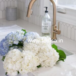 Shower Head Dripping Water Best Faucets Glass Faucet